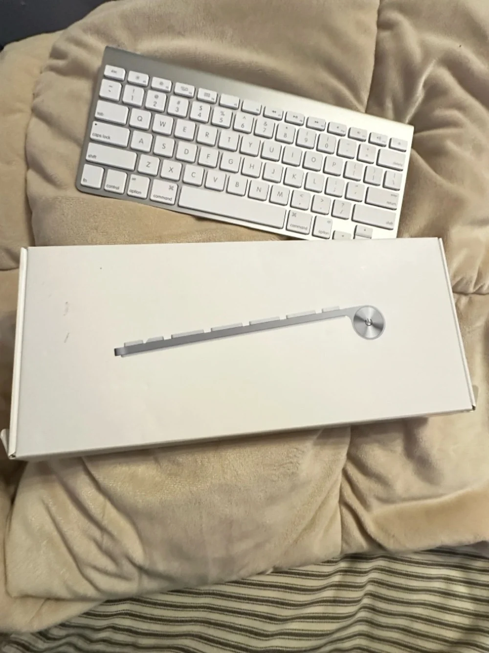 Apple Wireless Keyboard - Silver and White Compact Bluetooth Keyboard